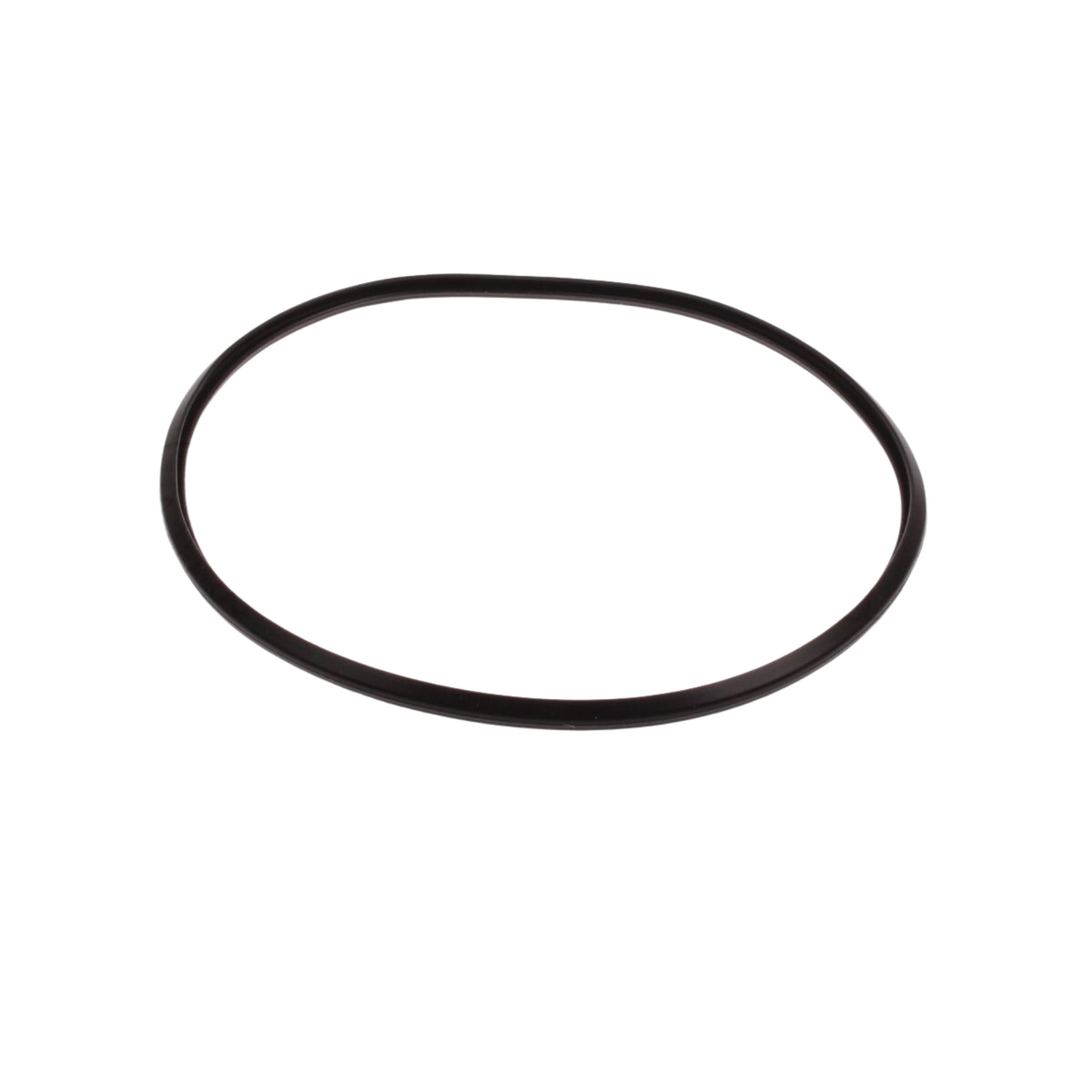 Guarnizione O-ring anello RAD25-00312 ricambio originale per caldaie Radiant