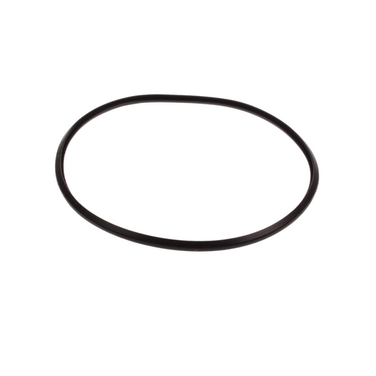 Guarnizione O-ring anello RAD25-00312 ricambio originale per caldaie Radiant